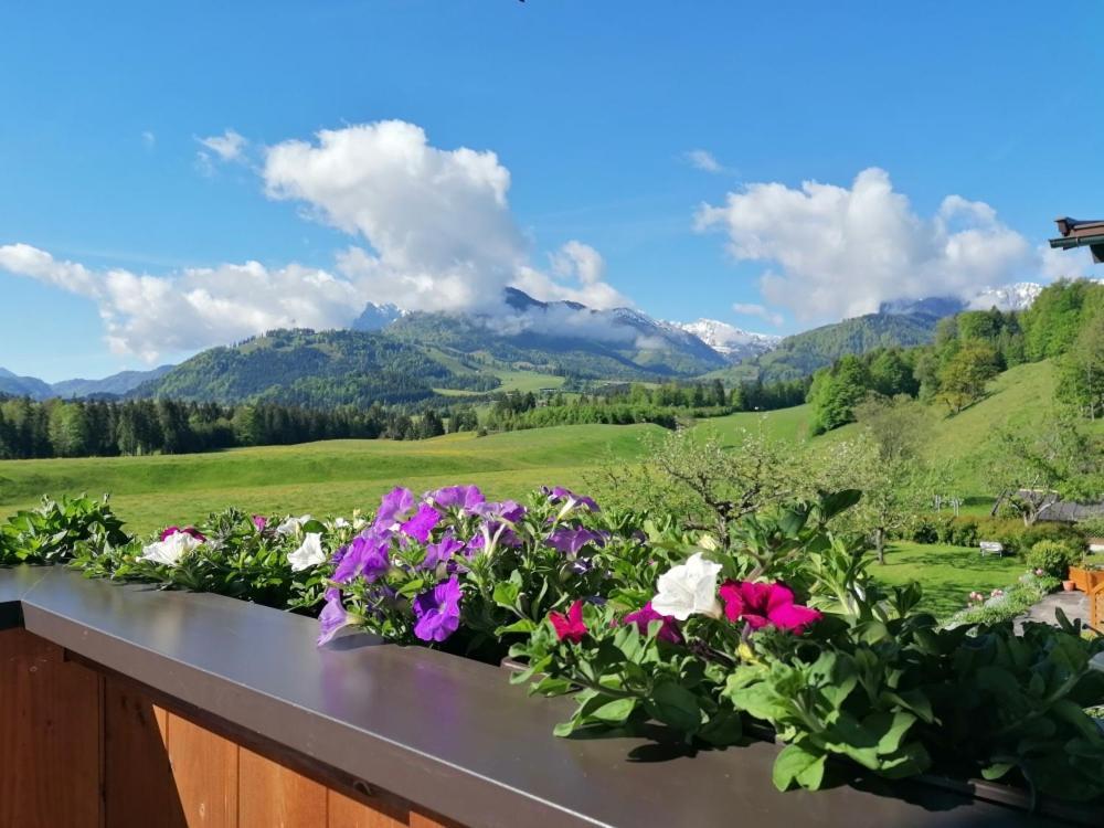 Landhaus Bergblick Kössen 外观 照片